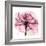 Rose Pink-Albert Koetsier-Framed Art Print