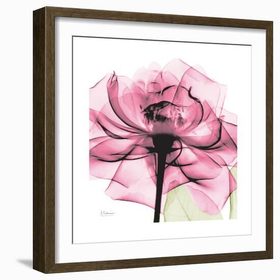 Rose Pink-Albert Koetsier-Framed Art Print