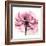 Rose Pink-Albert Koetsier-Framed Art Print