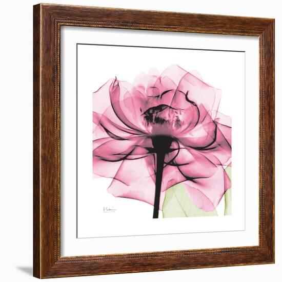 Rose Pink-Albert Koetsier-Framed Art Print