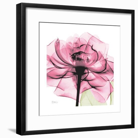 Rose Pink-Albert Koetsier-Framed Art Print