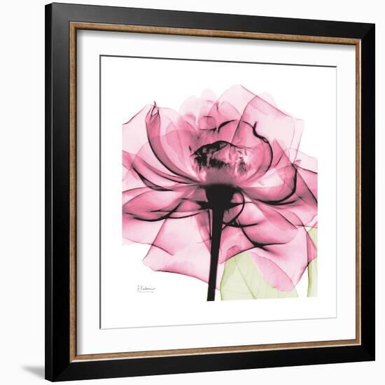 Rose Pink-Albert Koetsier-Framed Art Print