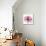 Rose Pink-Albert Koetsier-Mounted Art Print displayed on a wall