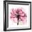 Rose Pink-Albert Koetsier-Framed Art Print