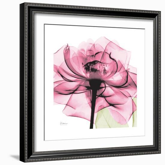 Rose Pink-Albert Koetsier-Framed Art Print
