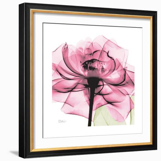 Rose Pink-Albert Koetsier-Framed Art Print