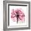 Rose Pink-Albert Koetsier-Framed Art Print