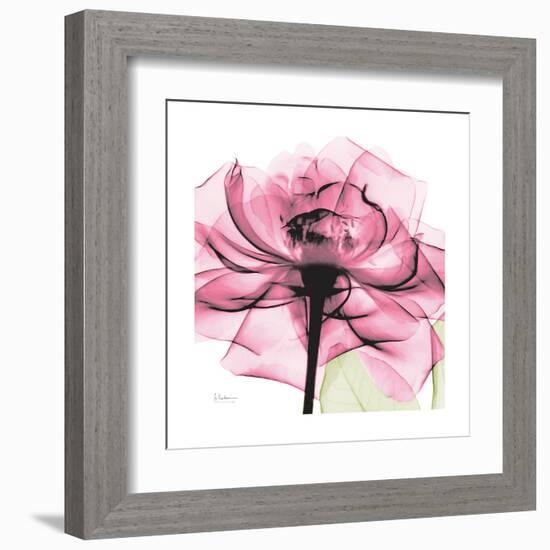 Rose Pink-Albert Koetsier-Framed Art Print