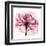 Rose Pink-Albert Koetsier-Framed Art Print