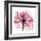 Rose Pink-Albert Koetsier-Framed Art Print