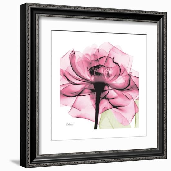 Rose Pink-Albert Koetsier-Framed Art Print