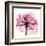 Rose Pink-Albert Koetsier-Framed Art Print