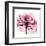 Rose Pink-Albert Koetsier-Framed Art Print