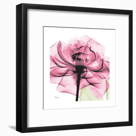 Rose Pink-Albert Koetsier-Framed Art Print