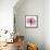 Rose Pink-Albert Koetsier-Framed Stretched Canvas displayed on a wall