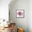 Rose Pink-Albert Koetsier-Framed Stretched Canvas displayed on a wall