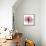 Rose Pink-Albert Koetsier-Framed Stretched Canvas displayed on a wall