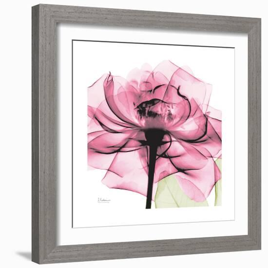 Rose Pink-Albert Koetsier-Framed Premium Giclee Print