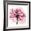 Rose Pink-Albert Koetsier-Framed Premium Giclee Print