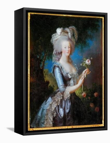 Rose Portrait of Marie Antoinette of Lorraine Habsburg, 1783, (Oil on Canvas)-Elisabeth Louise Vigee-LeBrun-Framed Premier Image Canvas