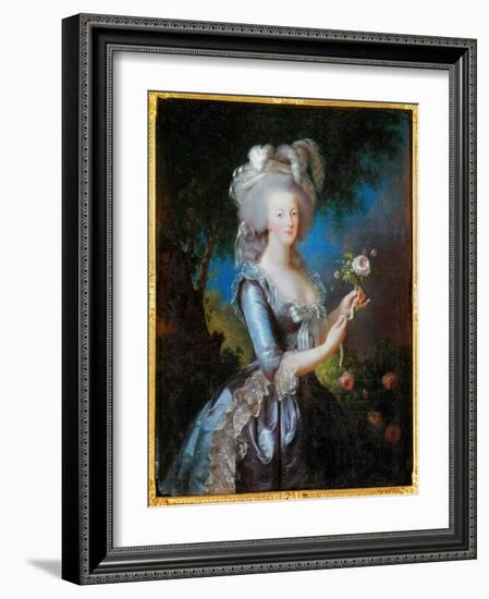 Rose Portrait of Marie Antoinette of Lorraine Habsburg, 1783, (Oil on Canvas)-Elisabeth Louise Vigee-LeBrun-Framed Giclee Print