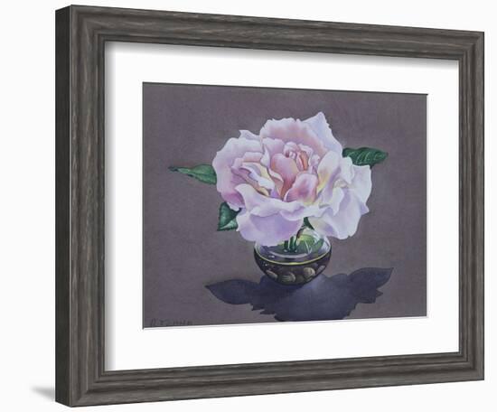 Rose Portrait-Christopher Ryland-Framed Giclee Print