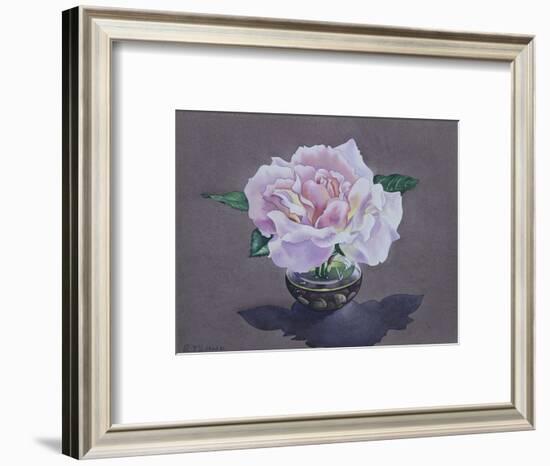 Rose Portrait-Christopher Ryland-Framed Giclee Print