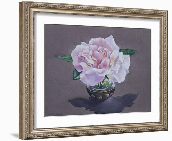 Rose Portrait-Christopher Ryland-Framed Giclee Print