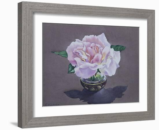 Rose Portrait-Christopher Ryland-Framed Giclee Print