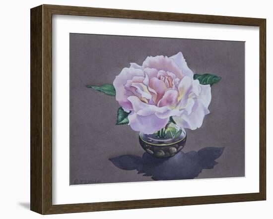 Rose Portrait-Christopher Ryland-Framed Giclee Print