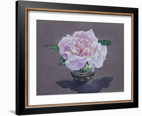 Rose Portrait-Christopher Ryland-Framed Giclee Print