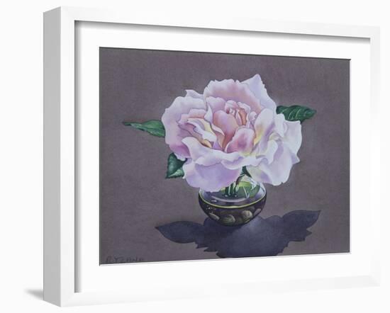 Rose Portrait-Christopher Ryland-Framed Giclee Print