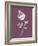 Rose Purple Flower-Jasmine Woods-Framed Art Print