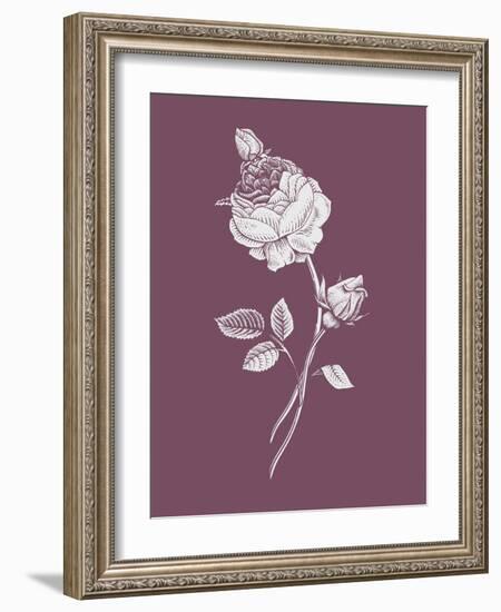 Rose Purple Flower-Jasmine Woods-Framed Art Print