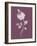 Rose Purple Flower-Jasmine Woods-Framed Art Print