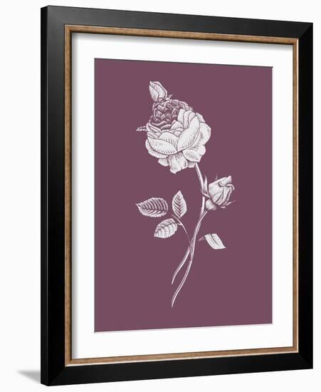 Rose Purple Flower-Jasmine Woods-Framed Art Print