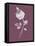 Rose Purple Flower-Jasmine Woods-Framed Stretched Canvas