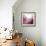 Rose Quartz B-GI ArtLab-Framed Giclee Print displayed on a wall