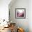 Rose Quartz B-GI ArtLab-Framed Giclee Print displayed on a wall