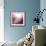 Rose Quartz B-GI ArtLab-Framed Giclee Print displayed on a wall