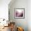 Rose Quartz B-GI ArtLab-Framed Giclee Print displayed on a wall