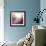 Rose Quartz B-GI ArtLab-Framed Giclee Print displayed on a wall