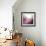 Rose Quartz B-GI ArtLab-Framed Giclee Print displayed on a wall