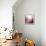 Rose Quartz B-GI ArtLab-Framed Premier Image Canvas displayed on a wall