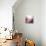 Rose Quartz B-GI ArtLab-Framed Premier Image Canvas displayed on a wall