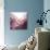 Rose Quartz B-GI ArtLab-Premium Giclee Print displayed on a wall