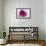 Rose Quartz-Andreas Stridsberg-Framed Giclee Print displayed on a wall