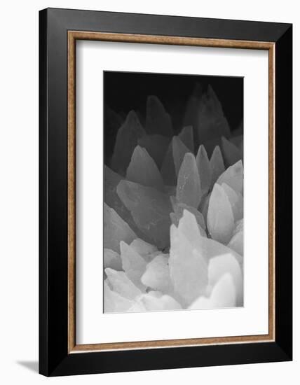 Rose Quartz-Zandria Muench Beraldo-Framed Photographic Print