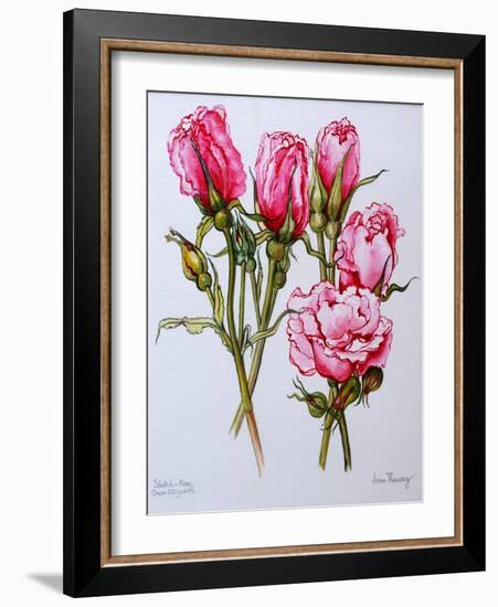 Rose, Queen Elizabeth, 2006-Joan Thewsey-Framed Giclee Print