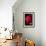 Rose Red 2-Charles Bowman-Framed Photographic Print displayed on a wall